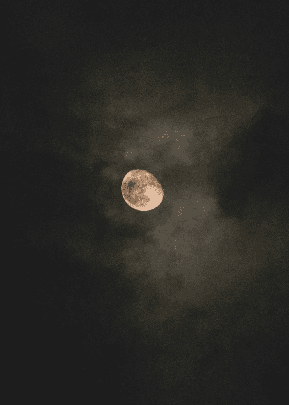The Rhythm of the Night: Melatonin