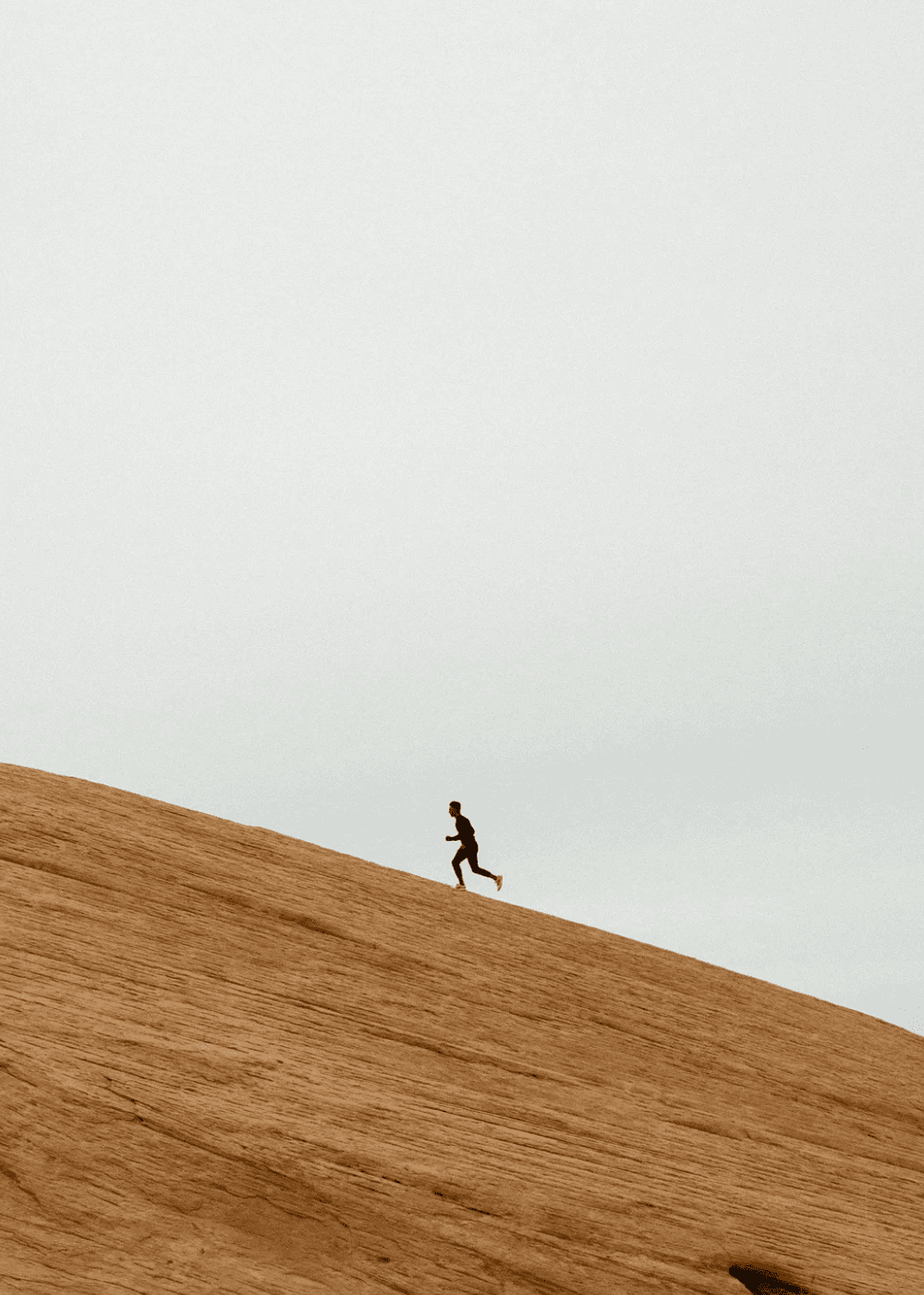 Cortisol Gets a Bad Rap: Why The "Stress Hormone" Is Essential for Health