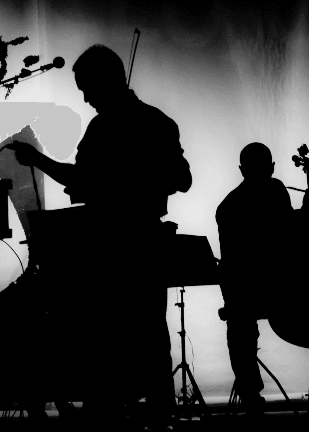 The Hormone Orchestra